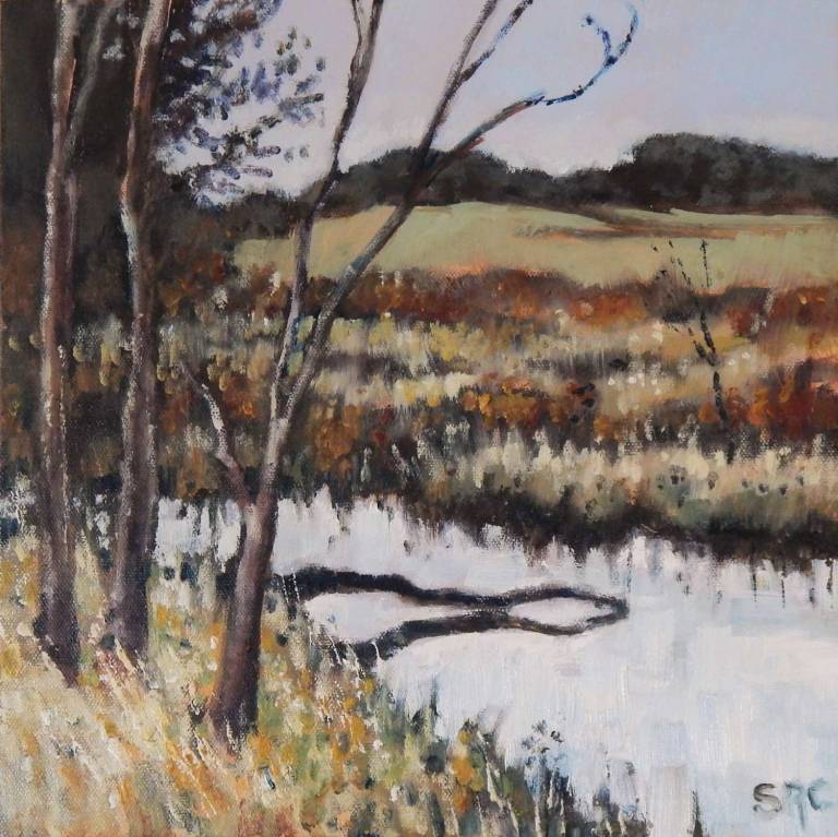 Walk in Autumn - Stella Clarke