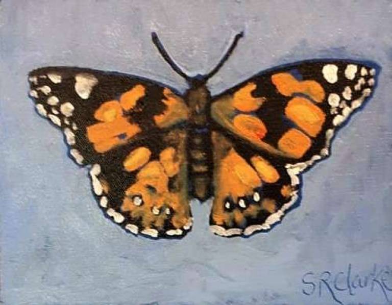 Bushlands Butterfly I - Stella Clarke