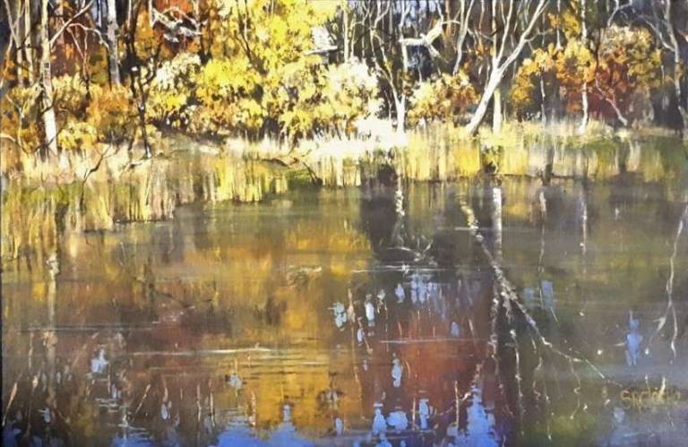 Wattle by Water - Stella Clarke