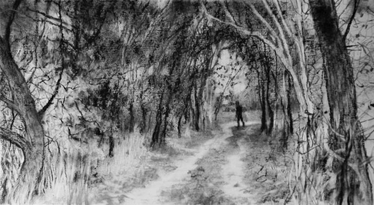 Creek Walk I - Stella Clarke