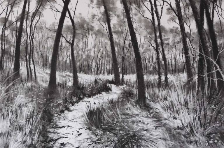 The Juniper Forest - Stella Clarke