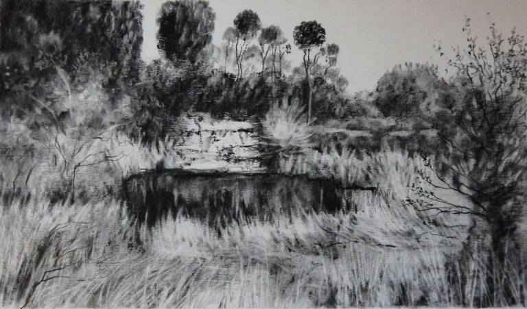 Creek I - Stella Clarke