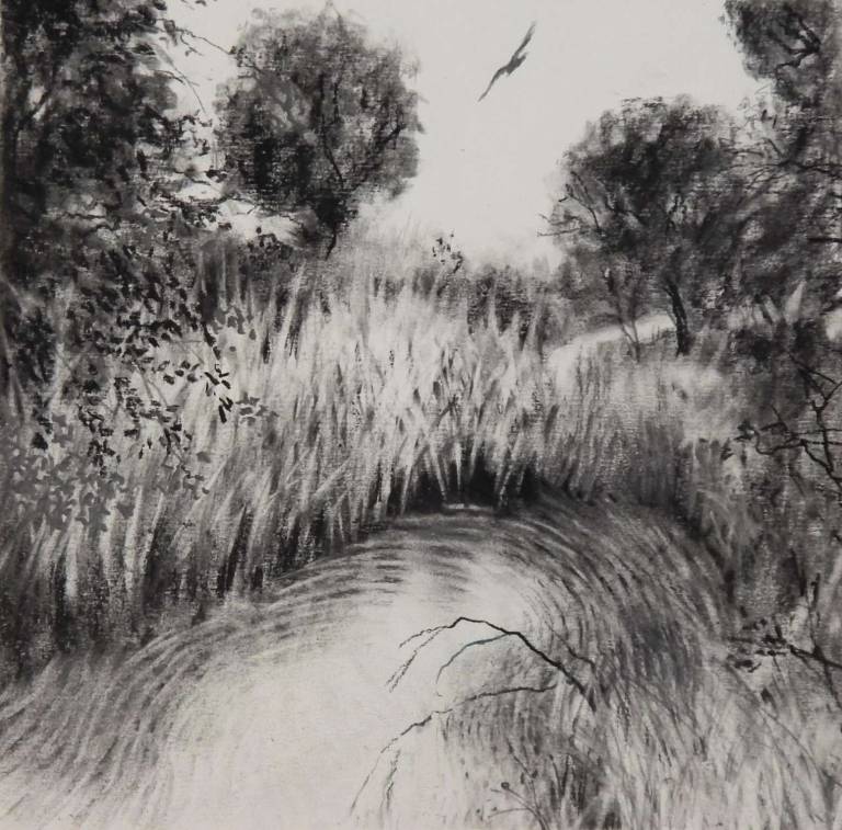 Creek II - Stella Clarke