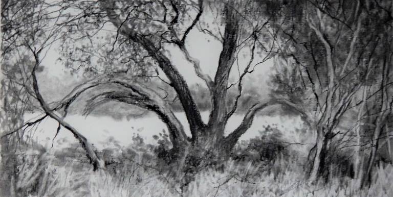 Creek Walk II - Stella Clarke