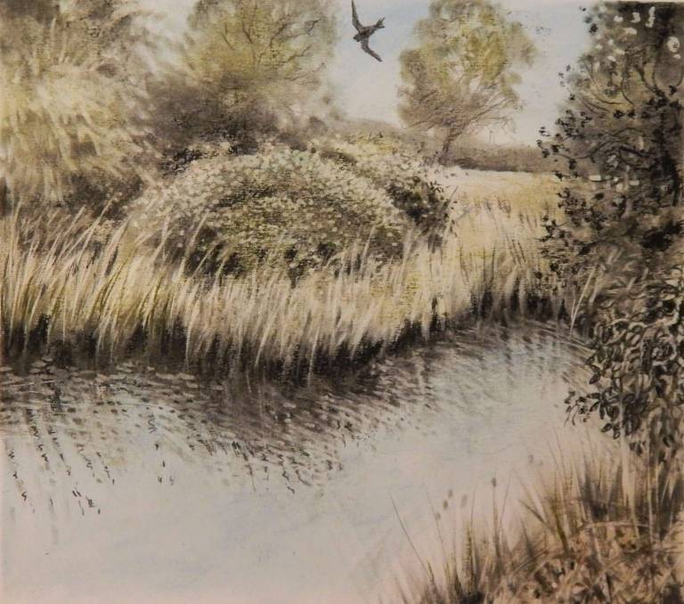 Hawk and Blackberry - Stella Clarke