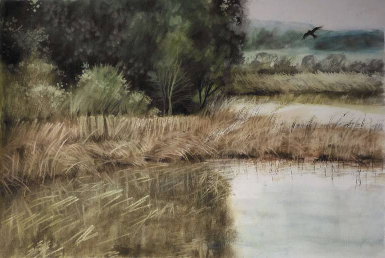 'Life is in us like the water in a river...' (Henry Thoreau) - Stella Clarke