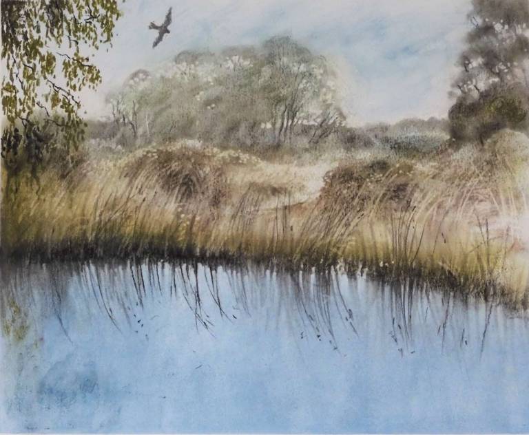 Creeklands in Silence - Stella Clarke