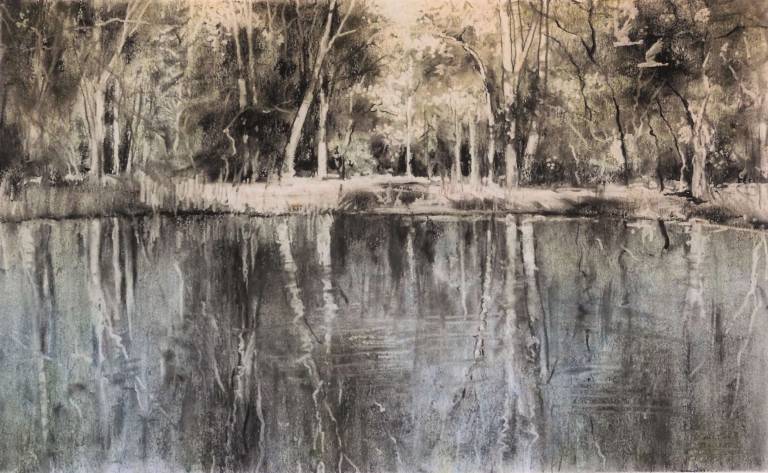 Forest Pool II - Stella Clarke