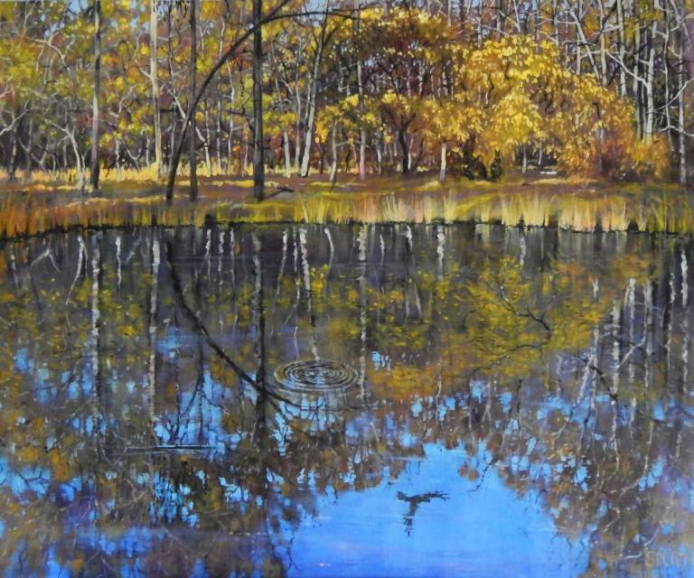 Blue Pond, Black Bird - Stella Clarke