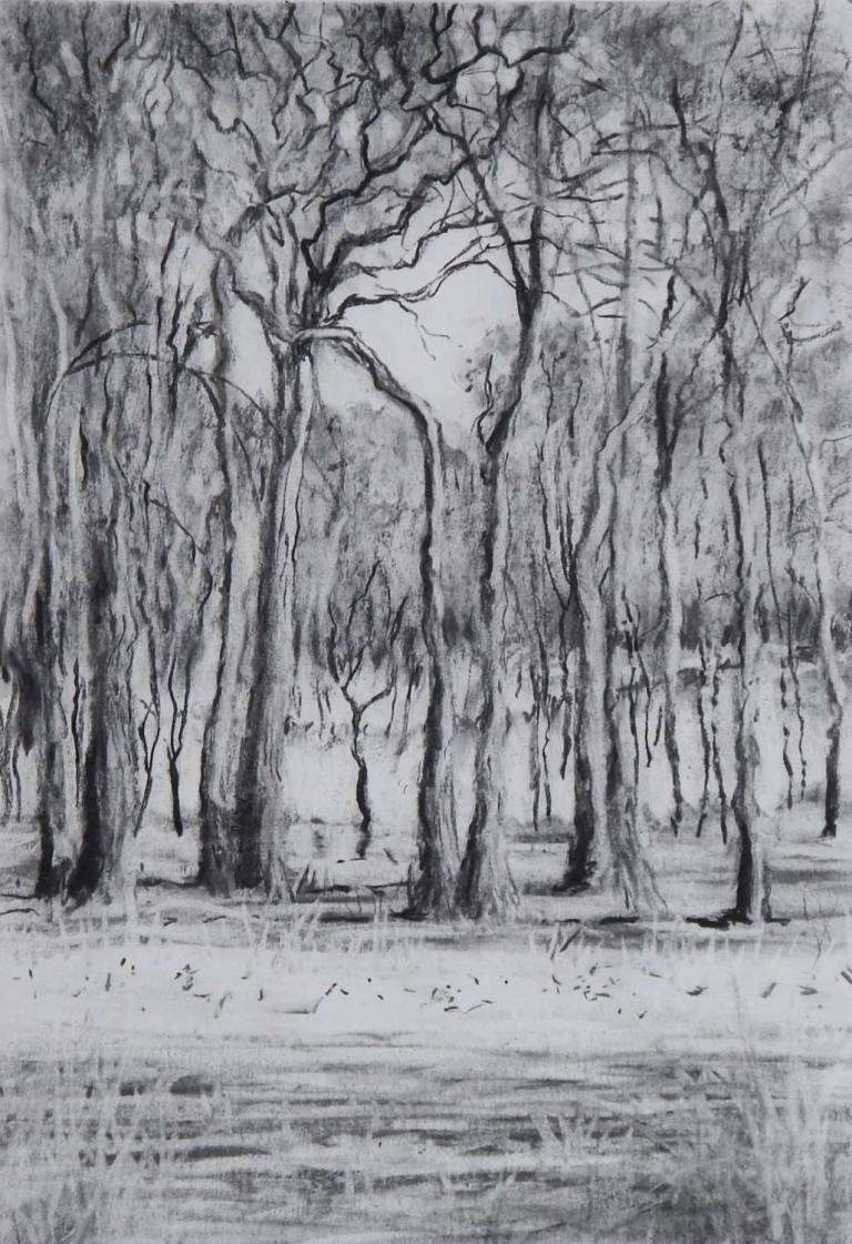 The Company of Trees II - Stella Clarke