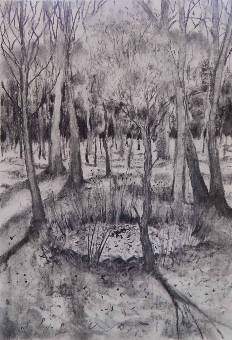 The Company of Trees III - Stella Clarke