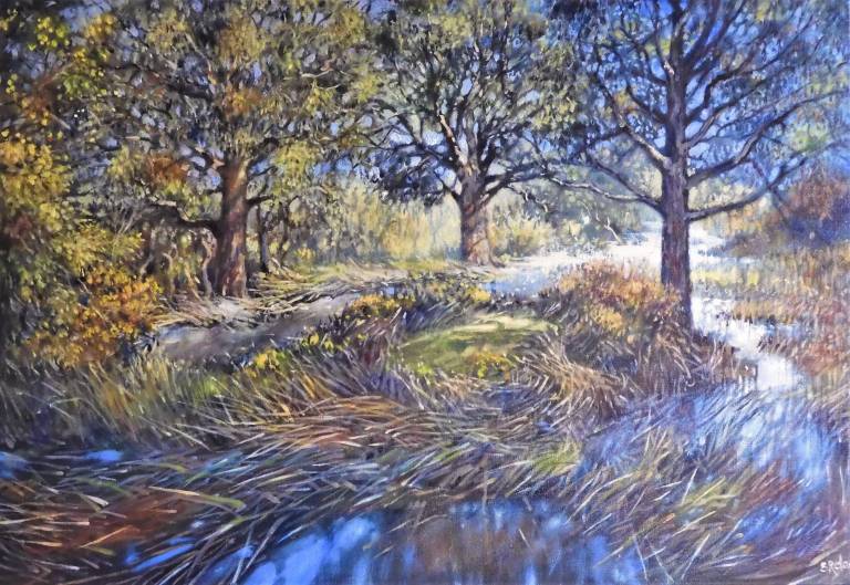 In the Wake of Water - Stella Clarke