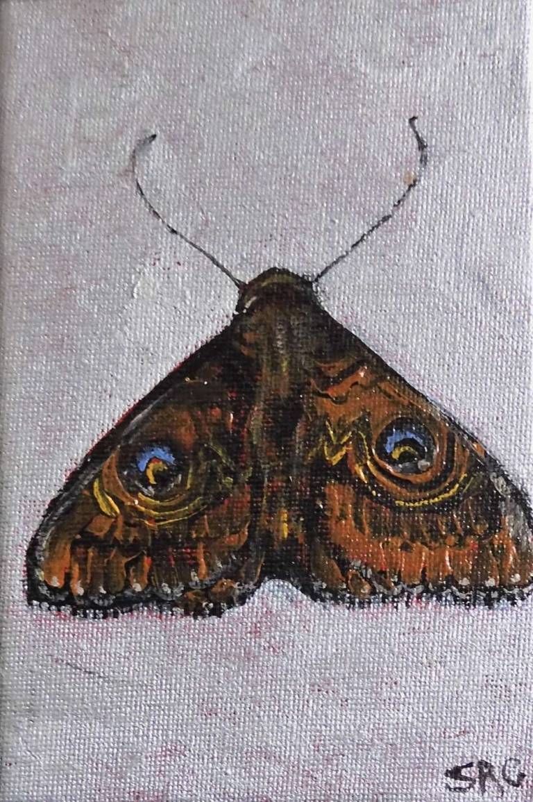 Moth - Stella Clarke