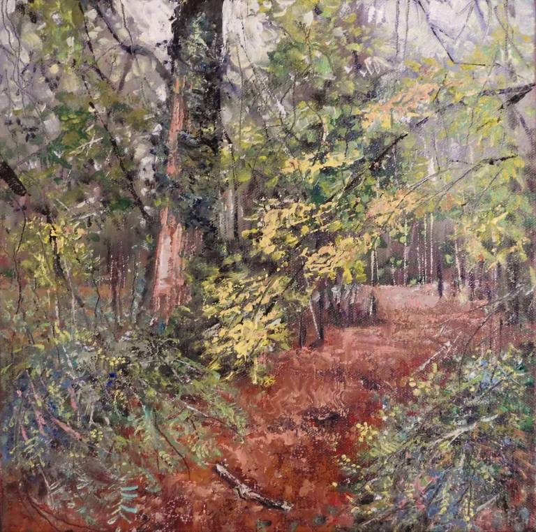 Forest Walk - Stella Clarke