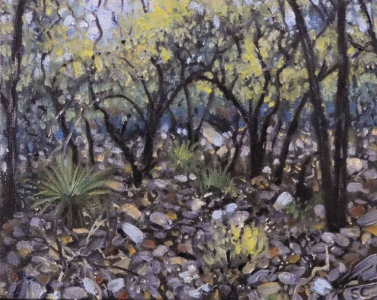 Little Grampians Bushscape - Stella Clarke