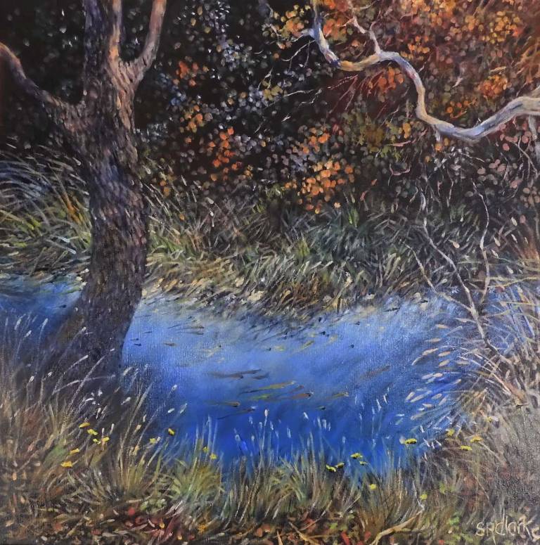 Mirage Waters of the Heart - Stella Clarke
