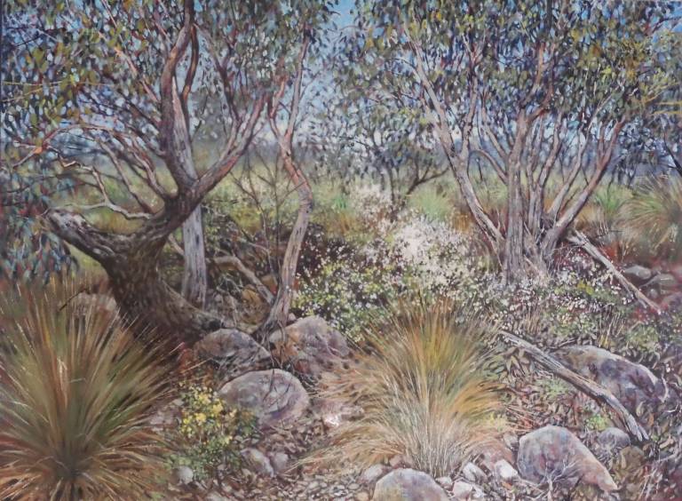 Wild Mountain Garden - Stella Clarke