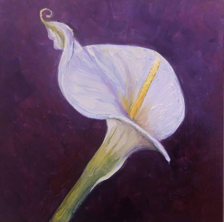 Calla I (Be Bold) - Stella Clarke