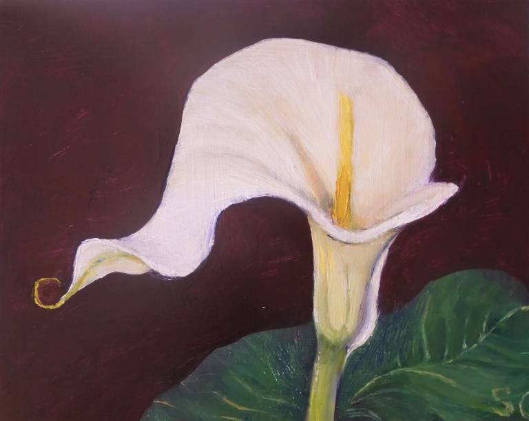 Calla III (Be Bold) - Stella Clarke