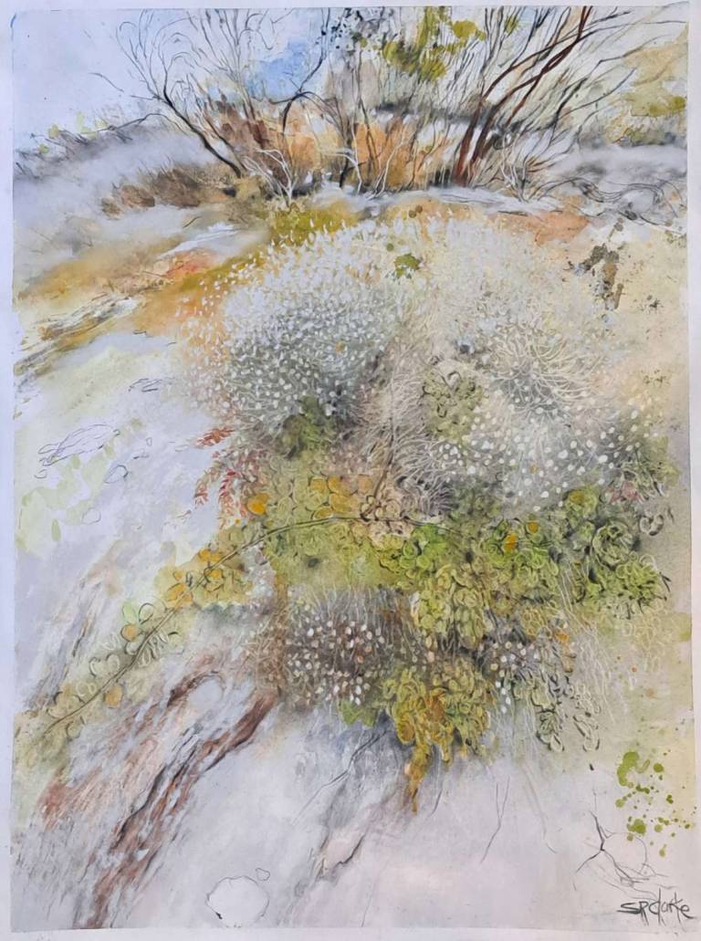 Wild Beach Garden - Stella Clarke