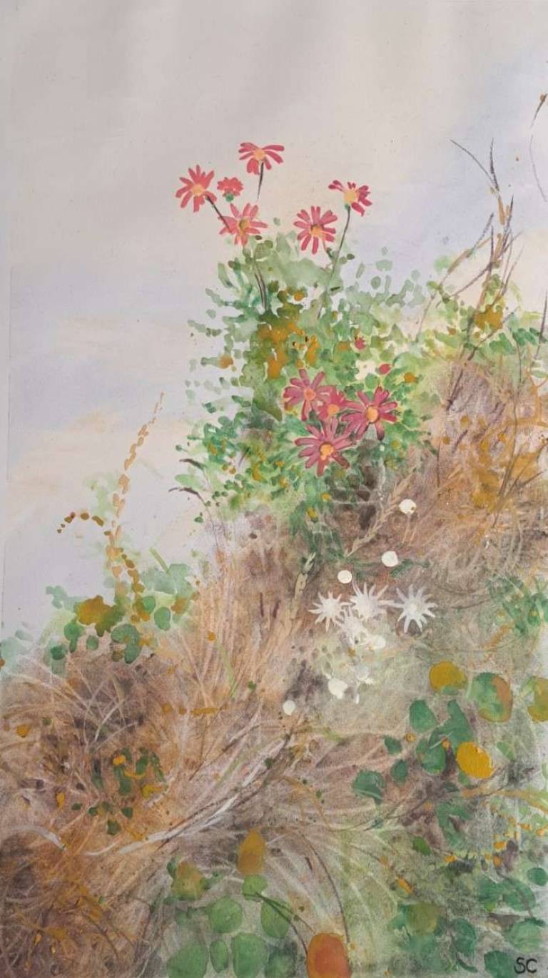 Beach Flowers - Stella Clarke