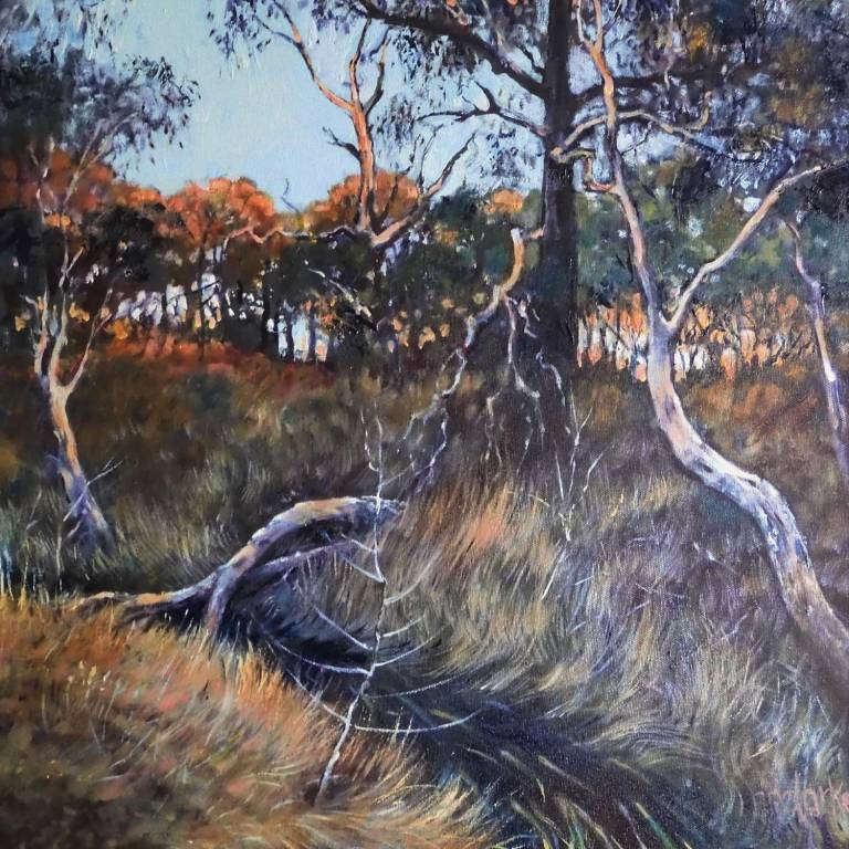 2021 ART GALLERY OF BALLARAT Nature Works Exhibition - Stella Clarke