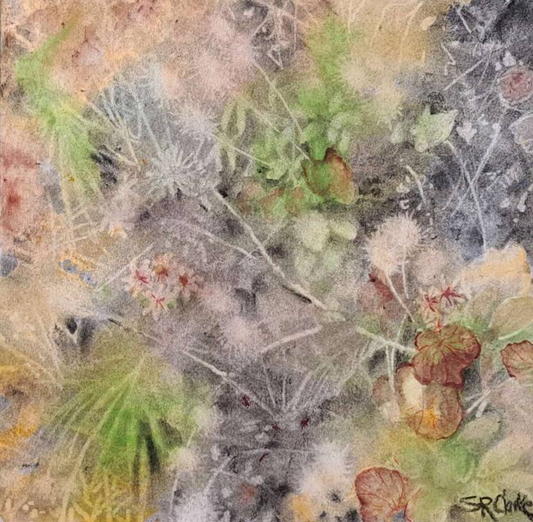 Little Beach Botanicals II - Stella Clarke