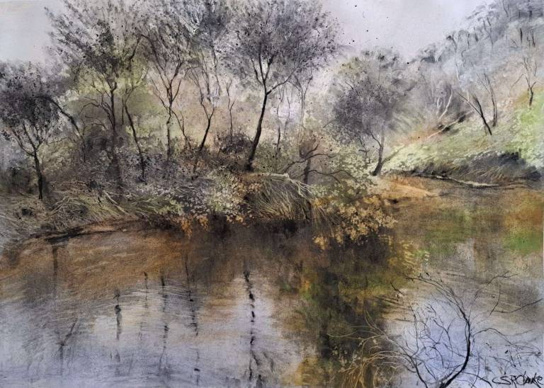 Slow River, Cooper's Creek - Stella Clarke