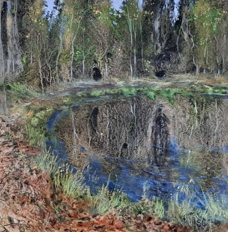 Treesong, The Quiet Place - Stella Clarke