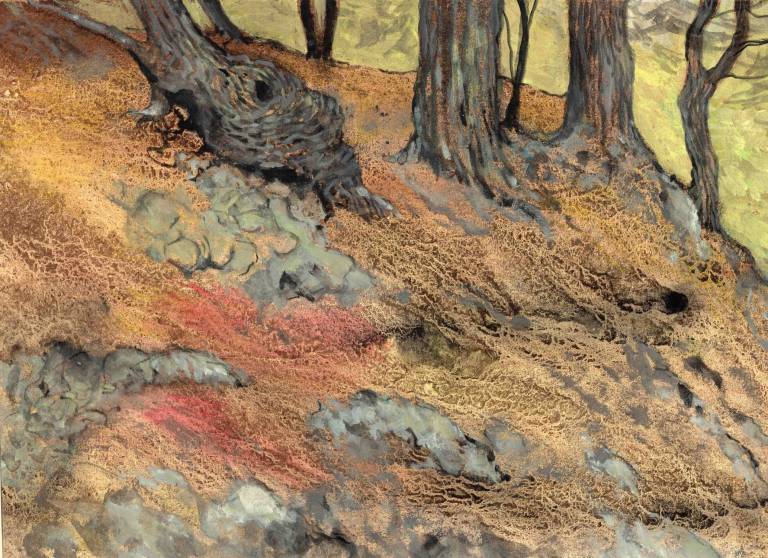 Dressed in Pines II - Stella Clarke