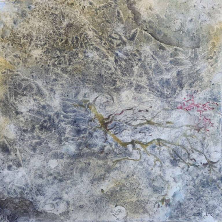 Shallows I - Stella Clarke