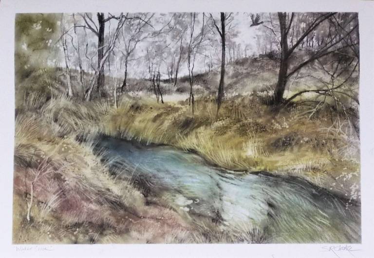Running Creek, June Evening - Stella Clarke