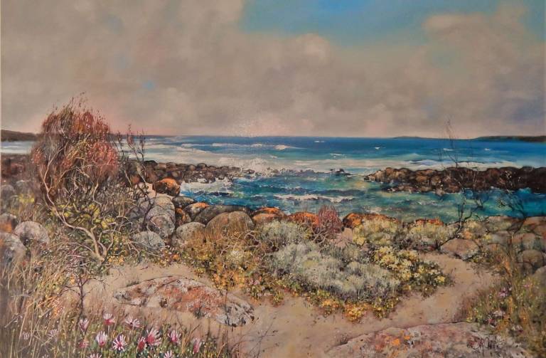 2017 METROPOLIS GALLERY GEELONG New Coastal Works - Stella Clarke