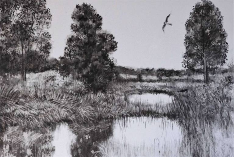 2024 THE PAPER MILL GALLERY GEELONG - Stella Clarke