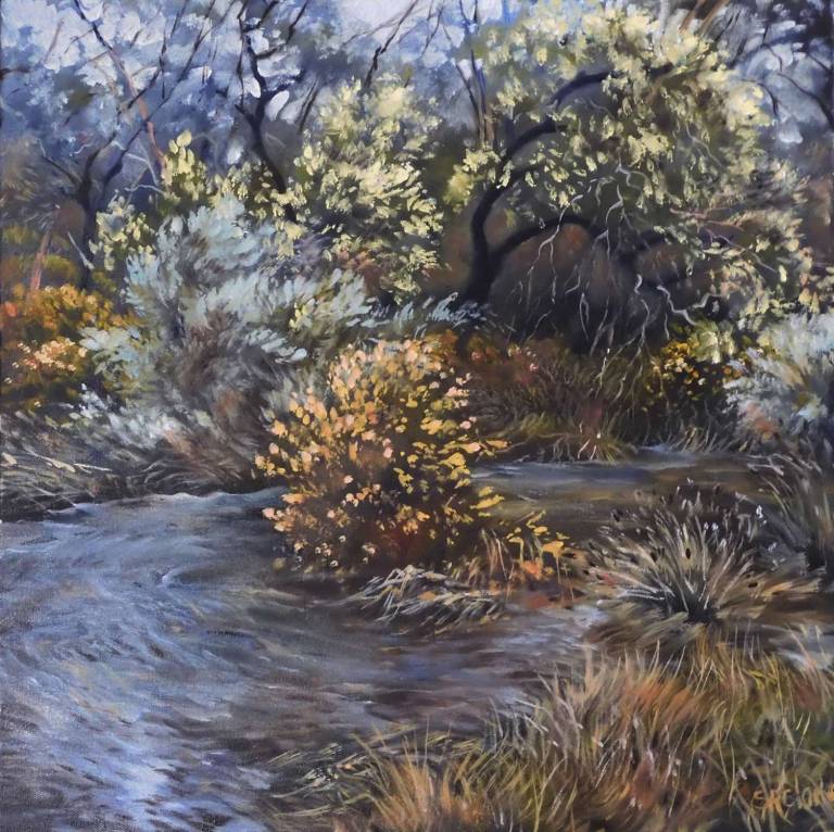 2021 ART GALLERY OF BALLARAT Nature Works Exhibition - Stella Clarke