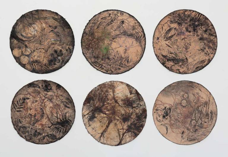 2024 POST OFFICE GALLERY BALLARAT Landscape to Earthscape Master of Visual Arts - Stella Clarke