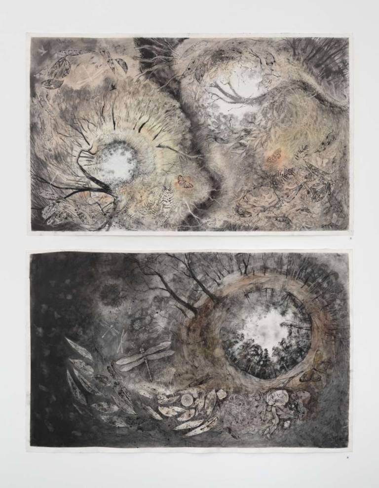 2024 POST OFFICE GALLERY BALLARAT Landscape to Earthscape Master of Visual Arts - Stella Clarke