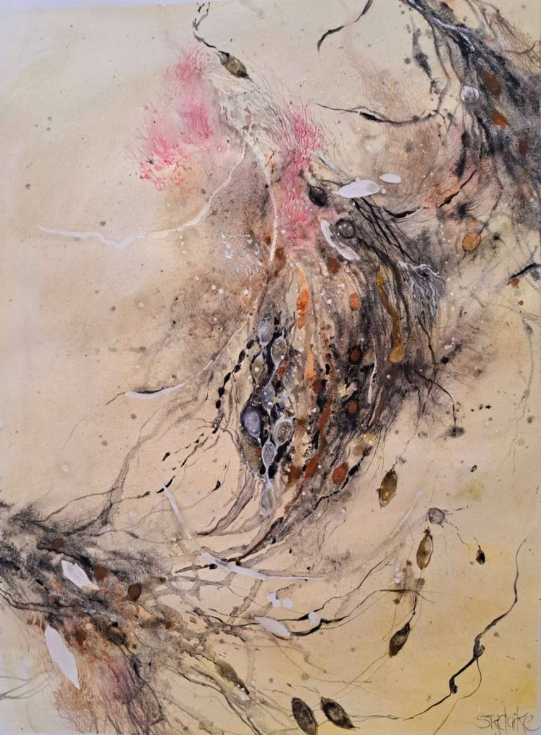 A Cockatoo in Eden - Stella Clarke