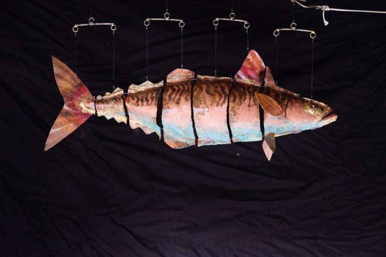 Michael Chaikin - Mackerel