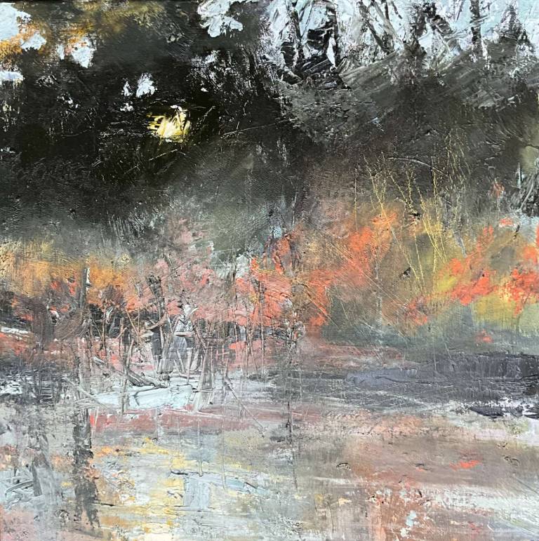 Woodland Reflections - Jill Eisele