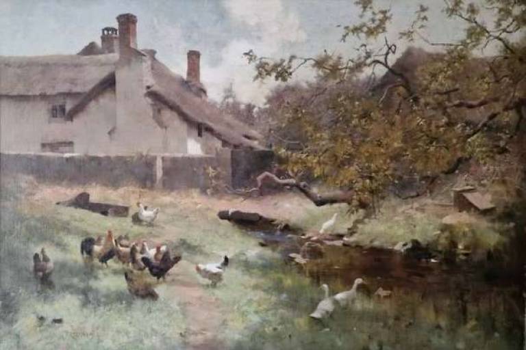 Fred Hall - Chickens and Ducks