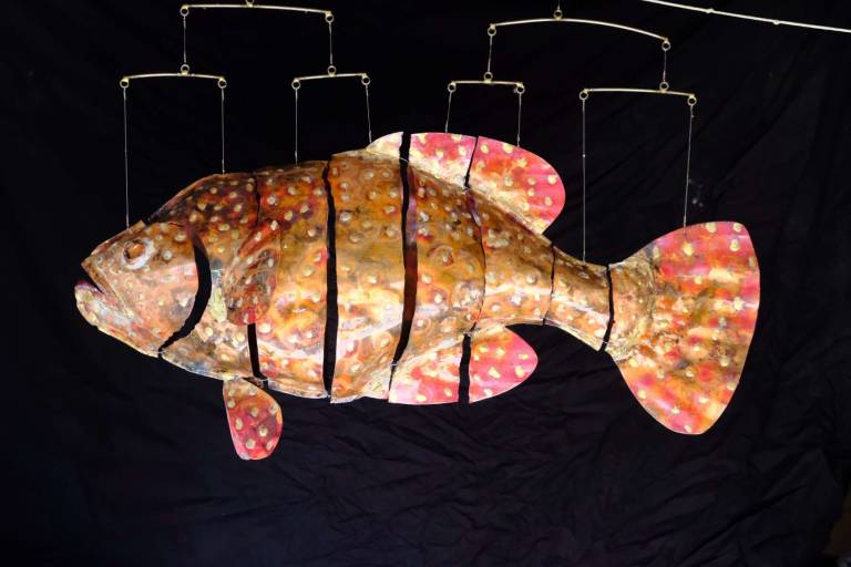 Large Copper Grouper (June 2024) - Michael Chaikin