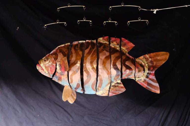 Michael Chaikin - Stripey Fish