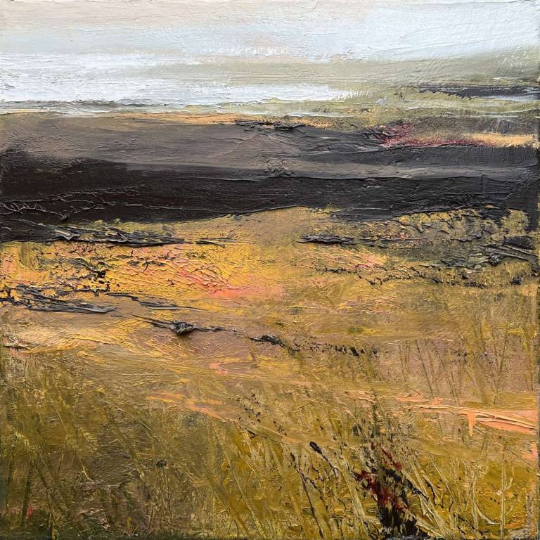 Penwith And Beyond - Jill Eisele