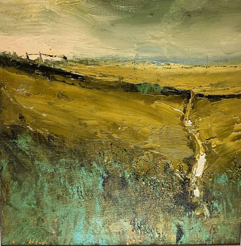 Fields West Penwith - Jill Eisele