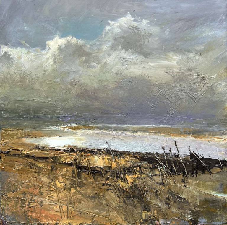 Jill Eisele - Hayle Estuary