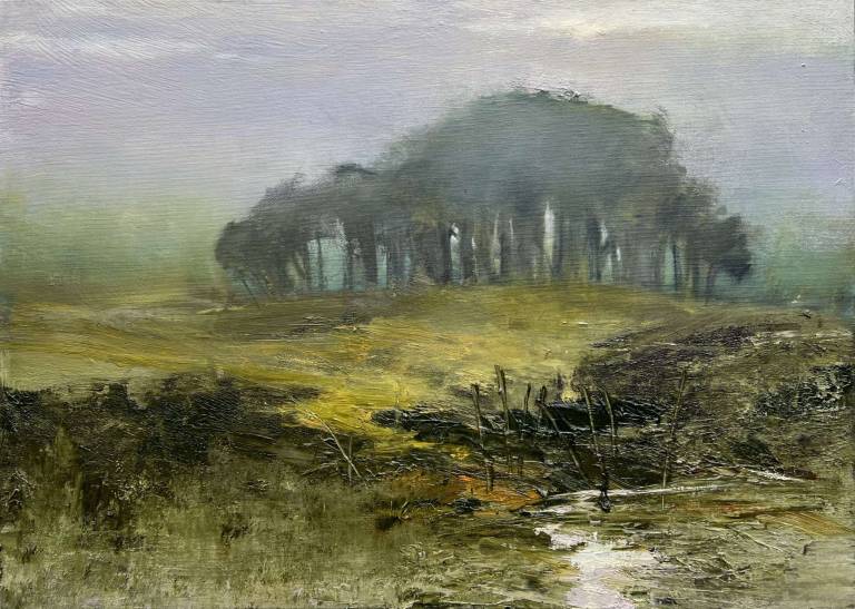 Jill Eisele - Lessingey - Early Light