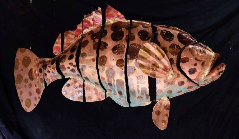 Grouper Fish - Michael Chaikin