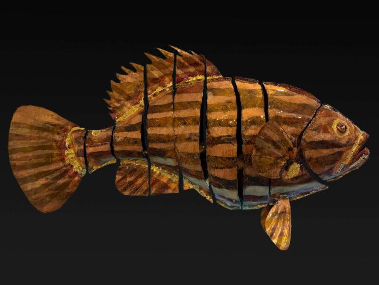 Large Grouper - Michael Chaikin