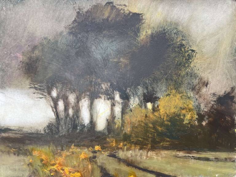 Morning Light - Jill Eisele